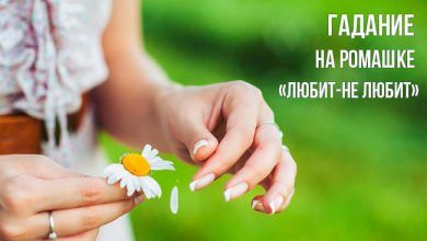 гадание на ромашке «Любит-не любит»