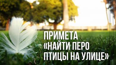 примета «найти перо птицы на улице»