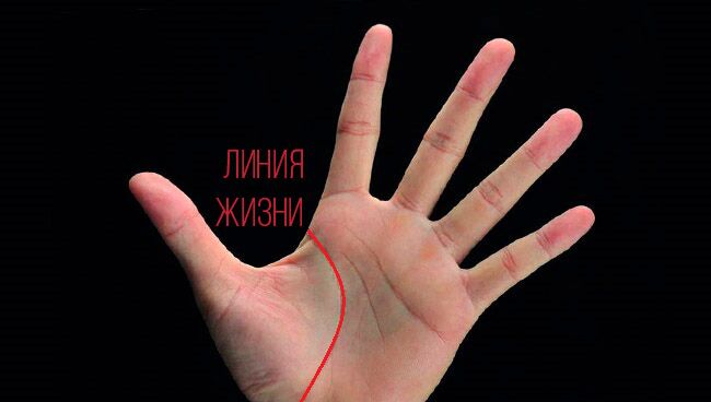 Как выглядит линия жизни на руке у человека фото с названиями у женщин