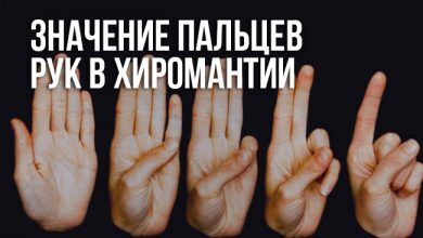 Значение пальцев рук в хиромантии