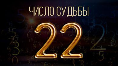 число судьбы 22