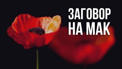 заговор на мак