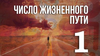 число жизненного пути 1