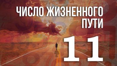 число жизненного пути 11