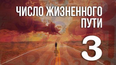 число жизненного пути 3