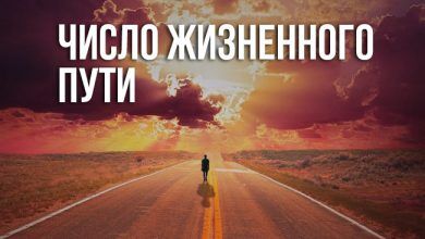 число жизненного пути
