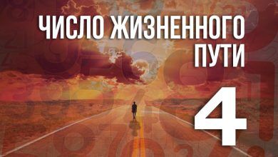 число жизненного пути 4