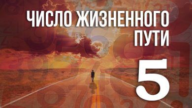 число жизненного пути 5
