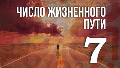 число жизненного пути 7