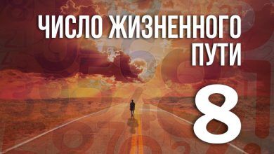число жизненного пути 8