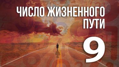 Число жизненного пути 9