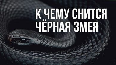 к чему снится чёрная змея