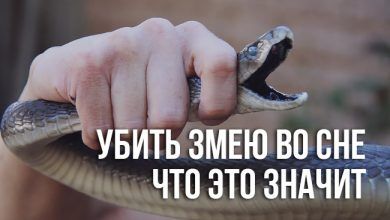 убить змею во сне
