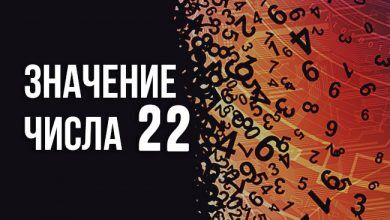 значение числа 22
