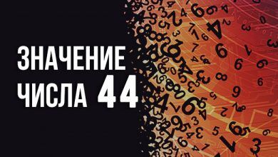значение числа 44