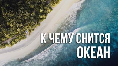 сонники про океан