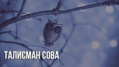 Талисман Сова