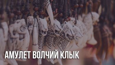 Амулет Волчий клык: значение