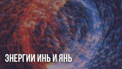 Энергия инь и янь в теле человека