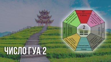 Число Гуа 2