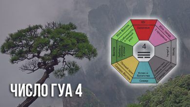 Число Гуа 4