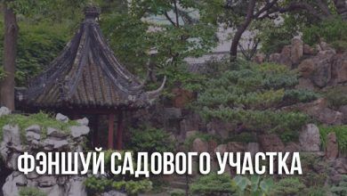 Фэншуй садового участка