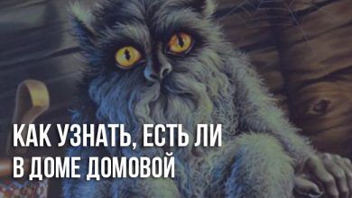 Как узнать, есть ли дома домовой