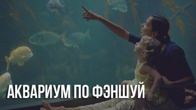 Аквариум по фэншую