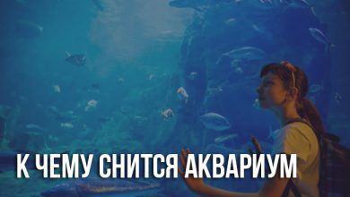 Сонник аквариум