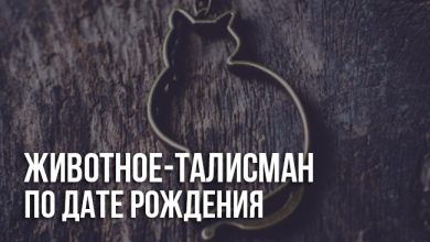 Животное-талисман по дате рождения
