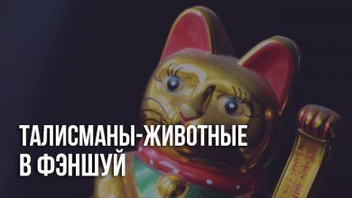 Талисман обезьяны, собаки, кролика, крысы