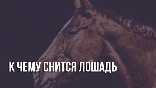 Предвестник важных событий