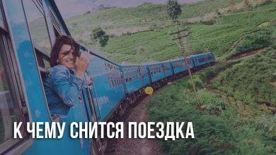 К чему снится поездка