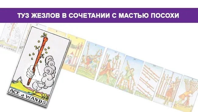 Туз Жезлов Таро значение в сочетании с мастью Посохов/Жезлов