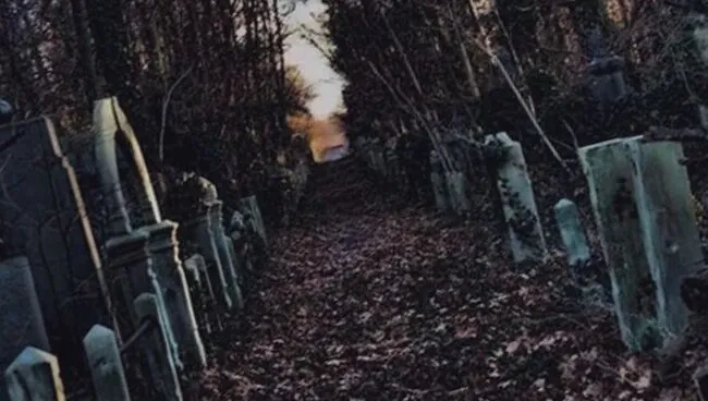 Что означает видеть во сне кладбище 